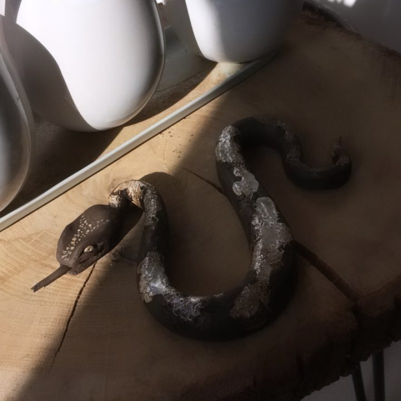 50636889_2258620637522098_1148685343452384738_n